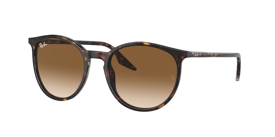 Saulės akiniai RayBan RB2204 902/51