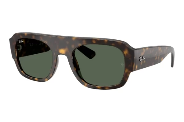 Saulės akiniai RayBan RB2218 679071